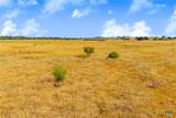 TBD 50 Acres Pfullman Road - Photo 14