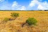 TBD 50 Acres Pfullman Road - Photo 15