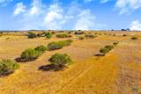 TBD 50 Acres Pfullman Road - Photo 16