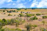 TBD 50 Acres Pfullman Road - Photo 18