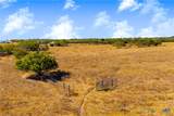 TBD 50 Acres Pfullman Road - Photo 21