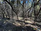 1031 Parton And 151 Reeves Road - Photo 20