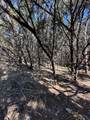 1031 Parton And 151 Reeves Road - Photo 21