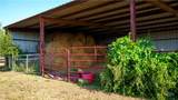 2525 Fm 2623 - Photo 10