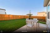1545 Sky Vista Drive - Photo 8
