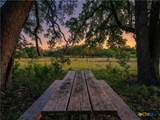 577 Cattle Creek Road - Photo 37