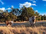 577 Cattle Creek Road - Photo 39