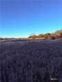 TBD County Road 3642 - Photo 6