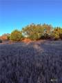 TBD County Road 3642 - Photo 7