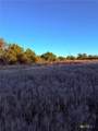 TBD County Road 3642 - Photo 8