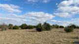 123 Acres on Twin Mountain - Photo 30