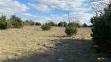 123 Acres on Twin Mountain - Photo 31