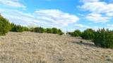 123 Acres on Twin Mountain - Photo 32