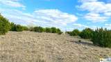 123 Acres on Twin Mountain - Photo 33