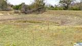 123 Acres on Twin Mountain - Photo 8