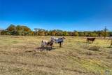 20949 Firefly Road - Photo 7