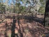 128 County Road 301 Tract 7 - Photo 10