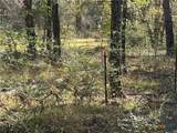 128 County Road 301 Tract 7 - Photo 6