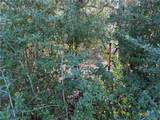 128 County Road 301 Tract 7 - Photo 7
