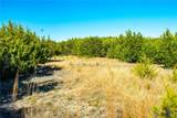Lot 19 Homestead Drive - Photo 17
