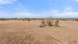 2501 County Road 224 - Photo 15