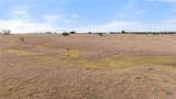 2501 County Road 224 - Photo 17