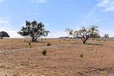 2501 County Road 224 - Photo 26