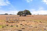 2501 County Road 224 - Photo 28