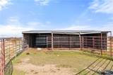 2501 County Road 224 - Photo 29