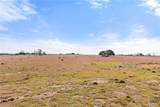 2501 County Road 224 - Photo 31