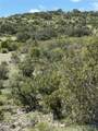 Lot 32 Private Road - Photo 29