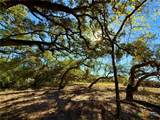 000 Sydnie Ranch Road - Photo 5