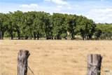 11705 Fm 439 - Photo 28