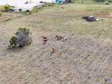 5542 Fm 2484 - Photo 11