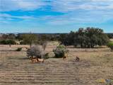 5542 Fm 2484 - Photo 12