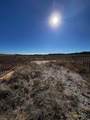 TBD County Road 235 - Photo 1