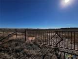 TBD County Road 235 - Photo 2