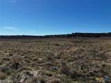 TBD County Road 235 - Photo 5