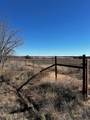 TBD County Road 235 - Photo 6