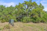 Lot 01 Hwy 290 - Photo 17