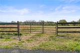 Lot 01 Hwy 290 - Photo 40