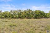 Lot 01 Hwy 290 - Photo 45