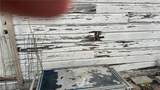 715 Avenue B - Photo 5