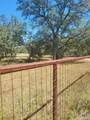 346 Ammann Road - Photo 3