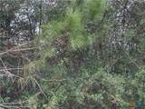 TBD Pine Hill Loop - Photo 2