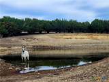 6101 County Road 208 - Photo 29