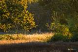 345 Fm 933 - Photo 12