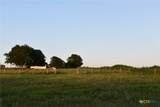 443 County Road 280 - Photo 21
