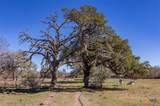 000 County Road 284 - Photo 16