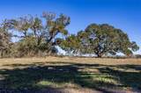 000 County Road 284 - Photo 4